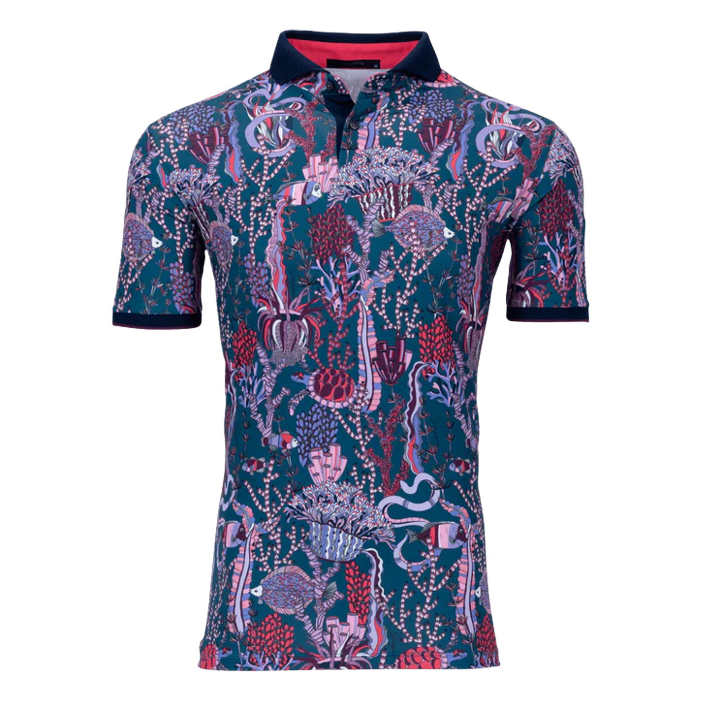 MSP24K16.Sea Turtle:2XL.TCP