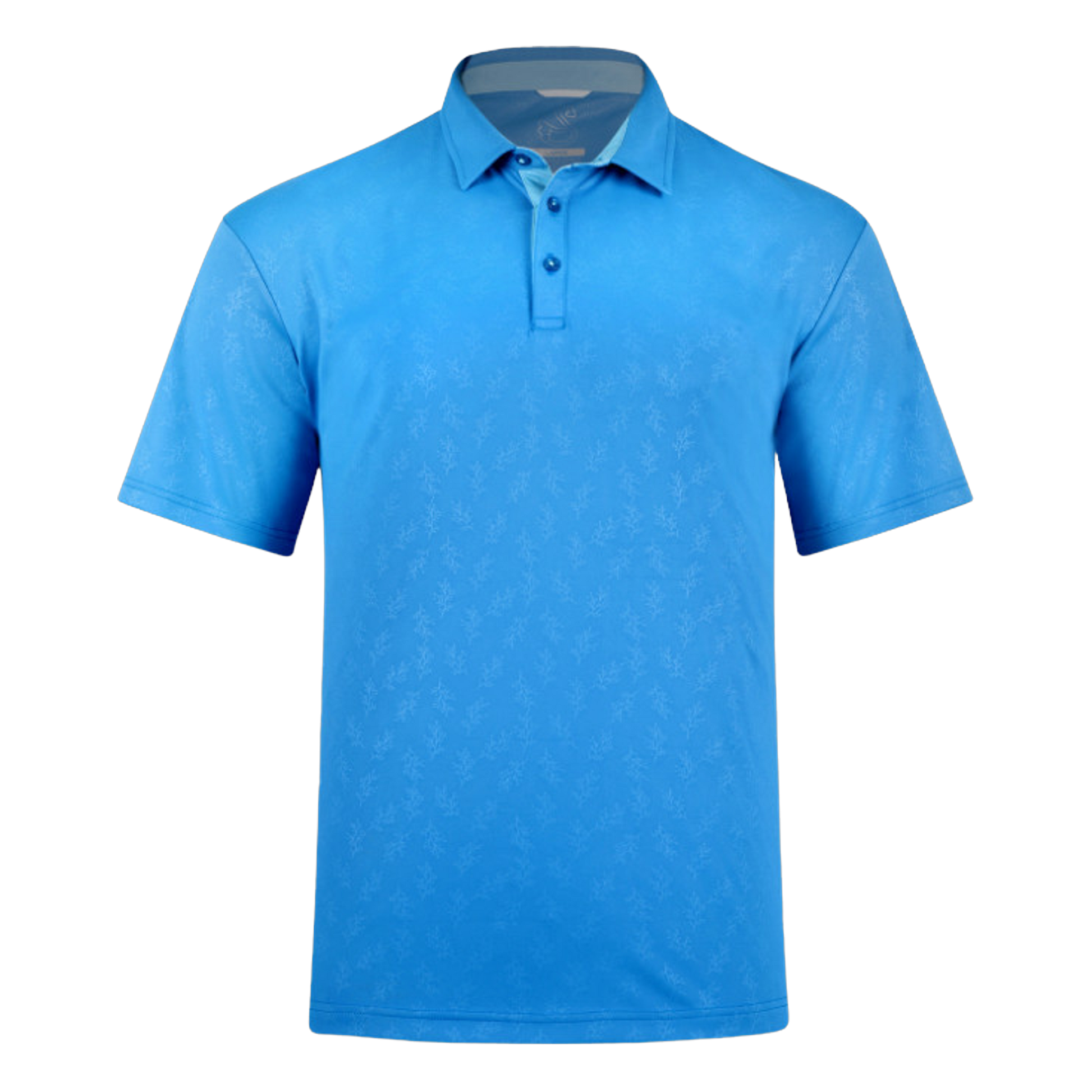 P10016.Blue:Large.TCP